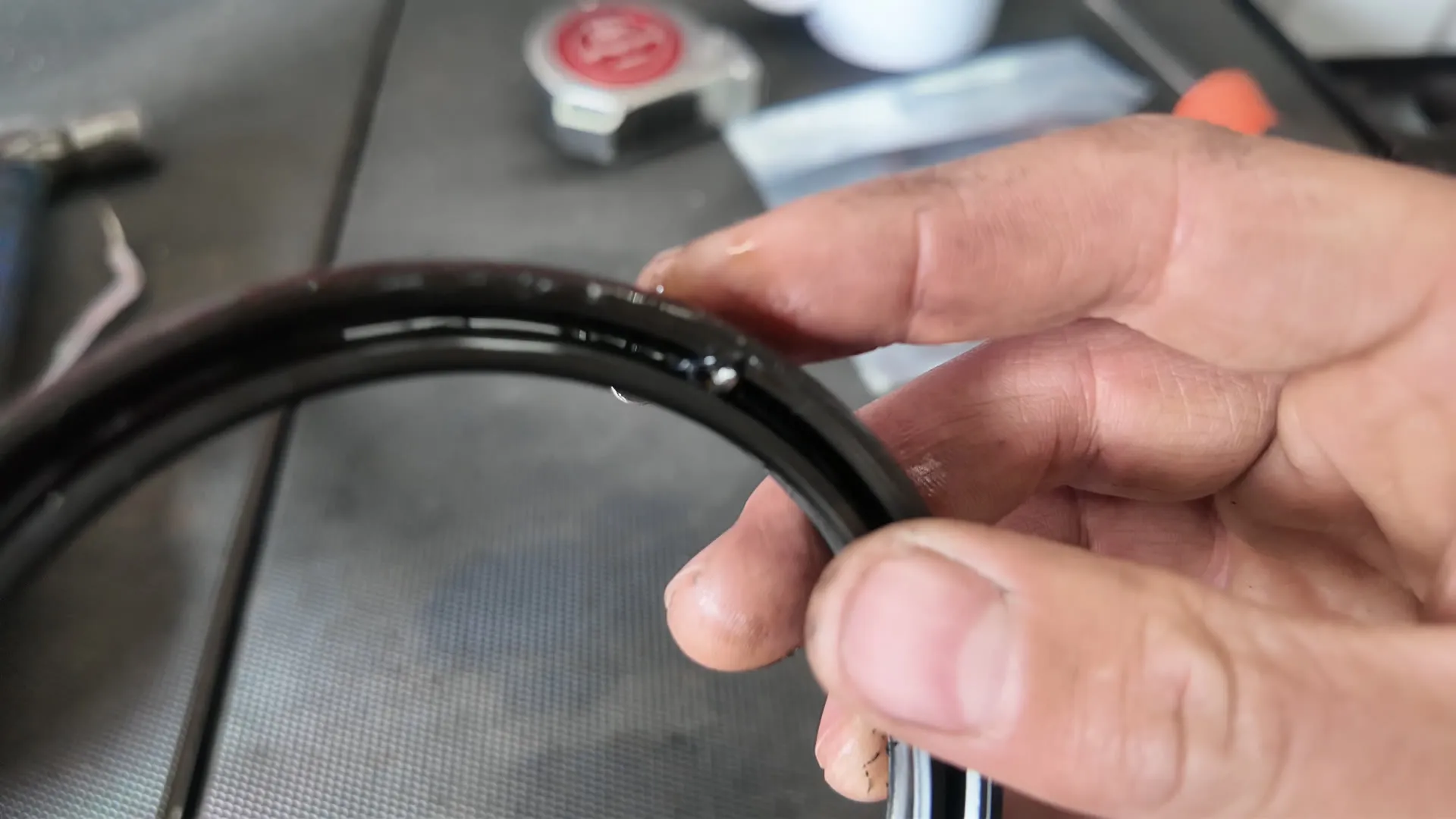 The old rear main seal lifted out, held in hand