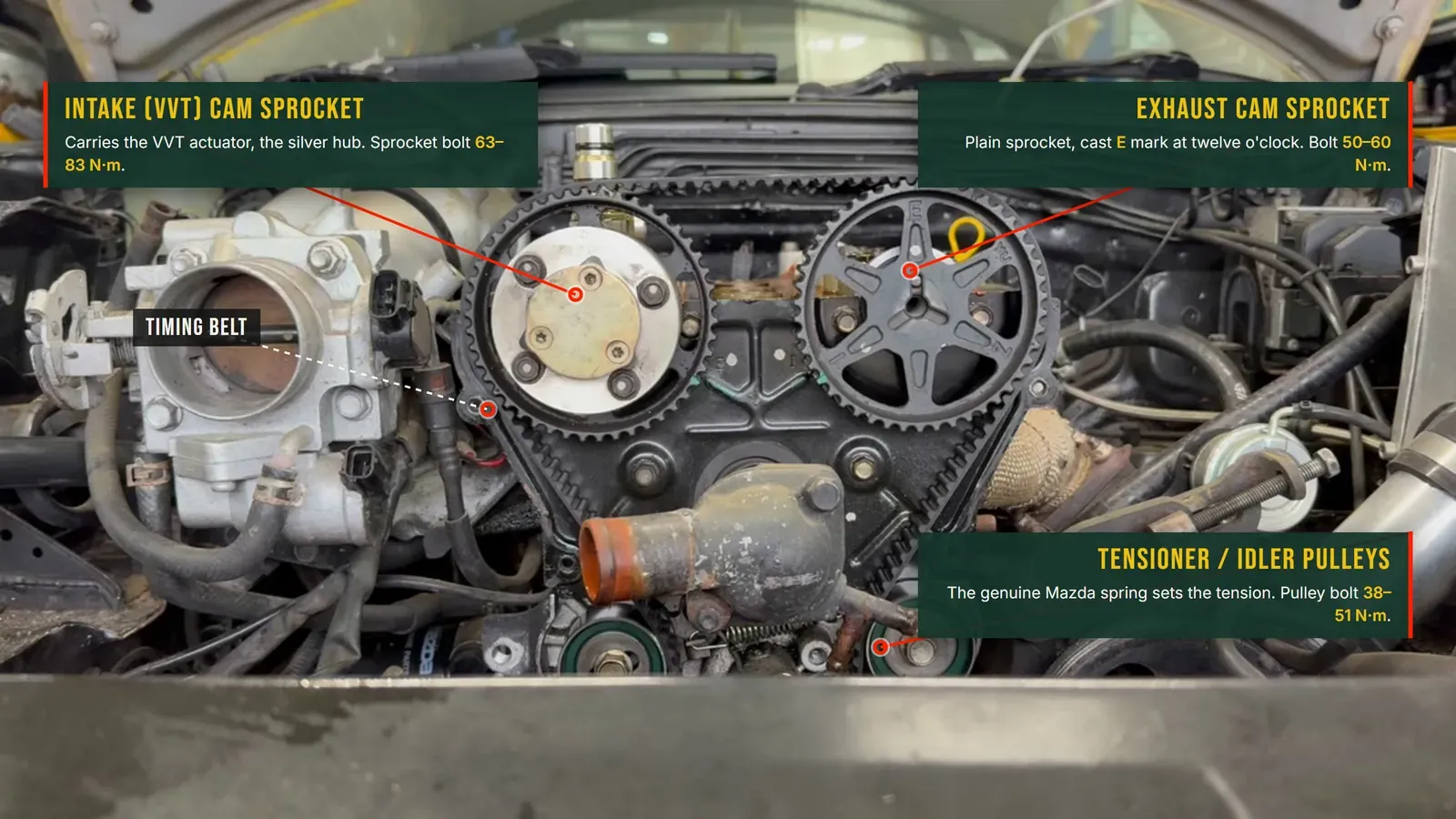 Annotated photo: the intake VVT cam sprocket, the exhaust cam sprocket, the timing belt and the tensioner and idler pulleys, each with its torque figure