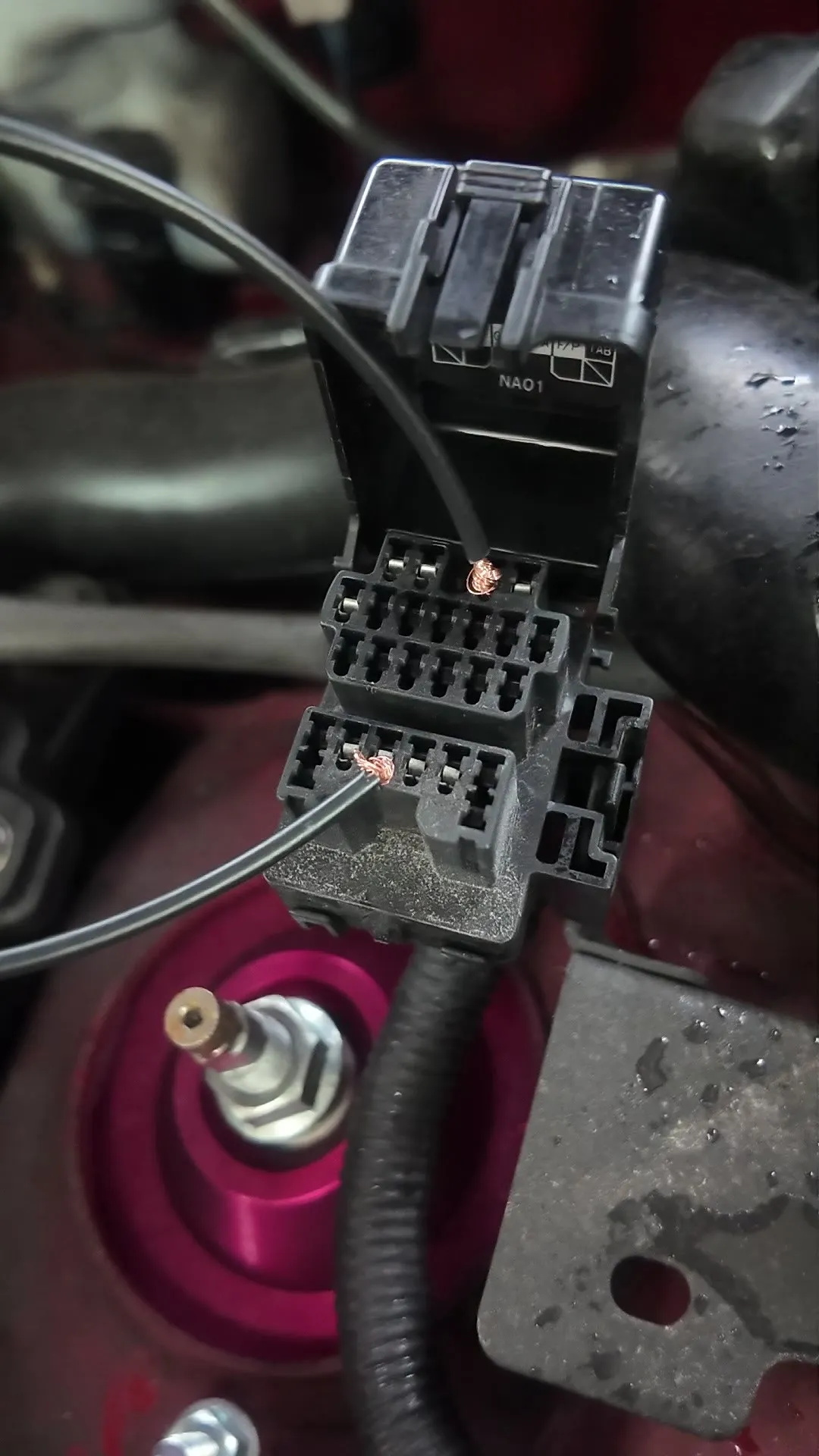 A wire jumper bridging the TEN and GND terminals in the engine bay diagnostic box of a Mazda MX-5