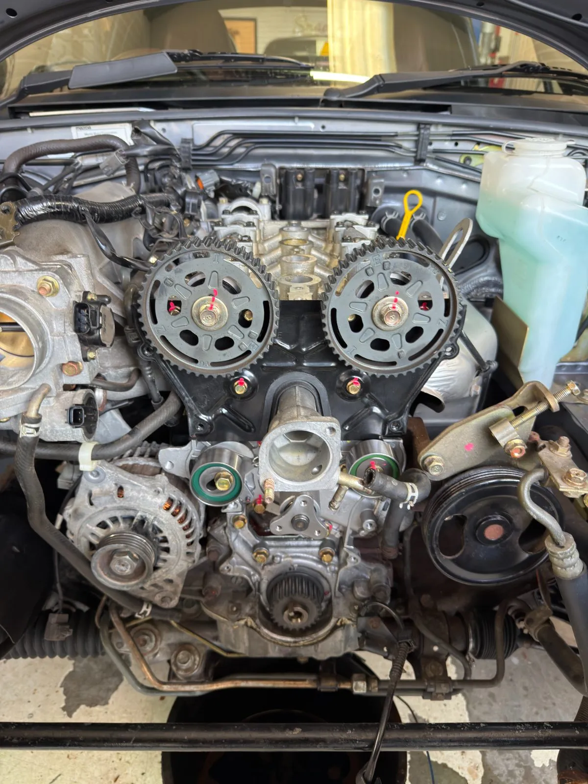 The timing gear exposed during the cambelt service