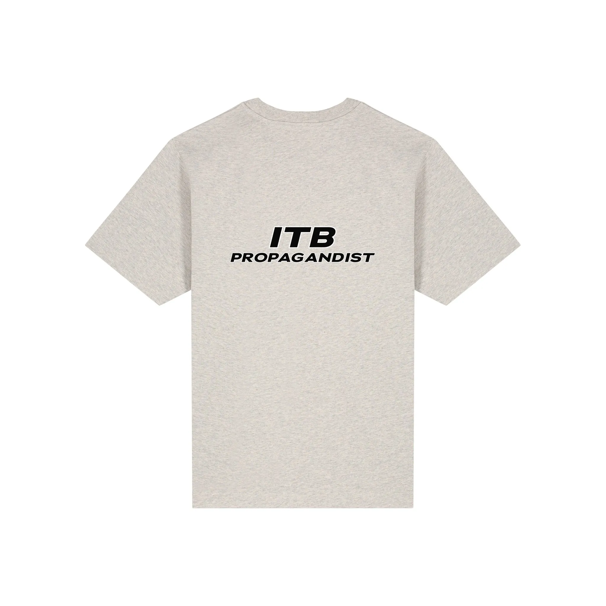 ITB Propagandist Tee in Heather Haze, back